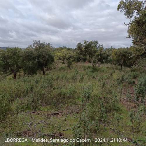 monte na serra do litoral alentejano