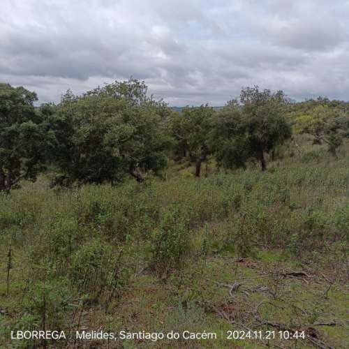 monte na serra do litoral alentejano