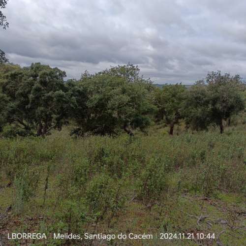 monte na serra do litoral alentejano