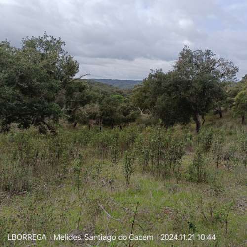 monte na serra do litoral alentejano