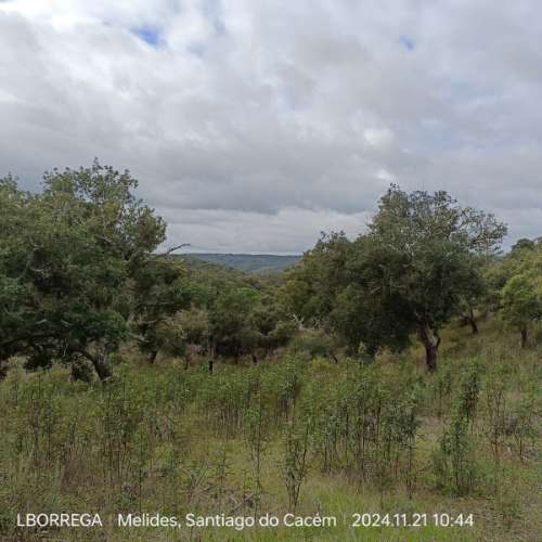 monte na serra do litoral alentejano