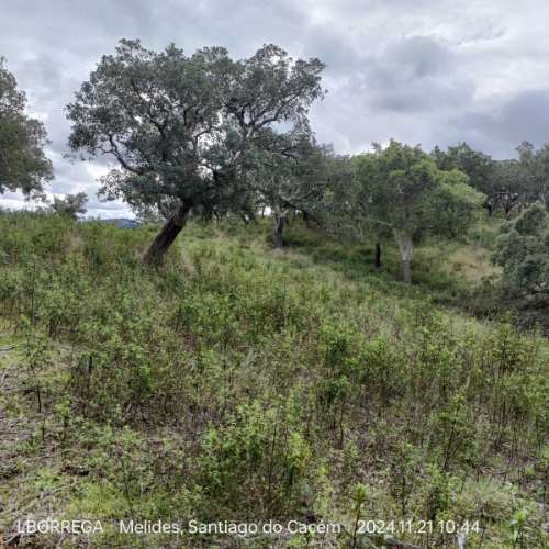 monte na serra do litoral alentejano