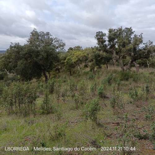 monte na serra do litoral alentejano