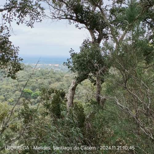 monte na serra do litoral alentejano