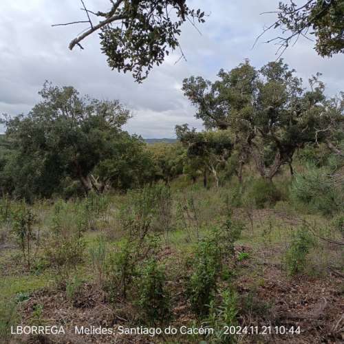 monte na serra do litoral alentejano