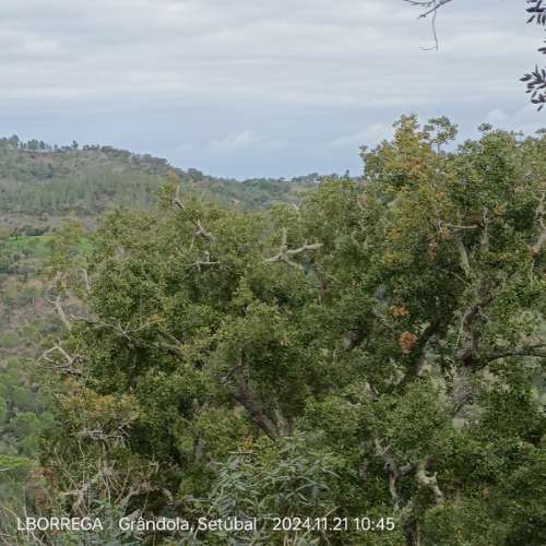 monte na serra do litoral alentejano