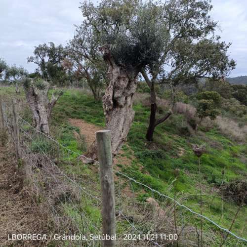 monte na serra do litoral alentejano