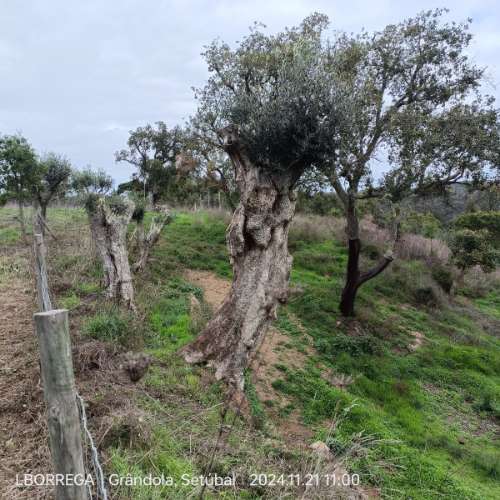 monte na serra do litoral alentejano