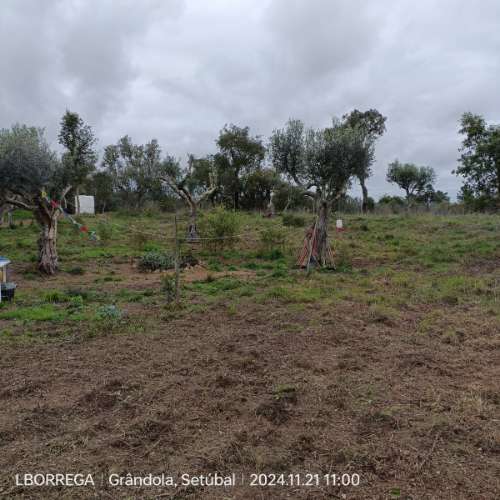 monte na serra do litoral alentejano