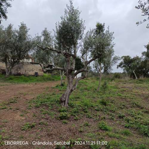 monte na serra do litoral alentejano