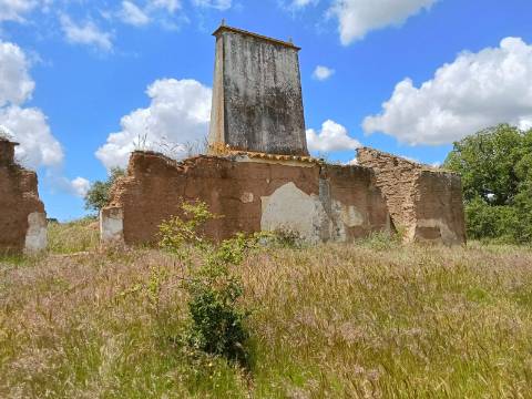 Propriedade 15 hectares -