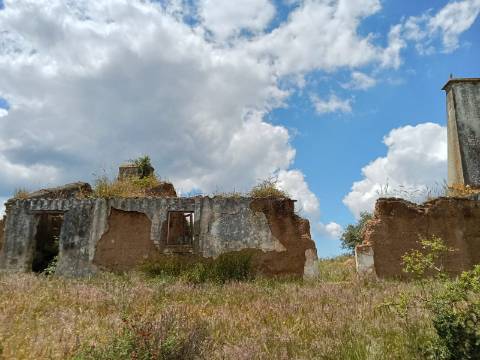 Propriedade 15 hectares -