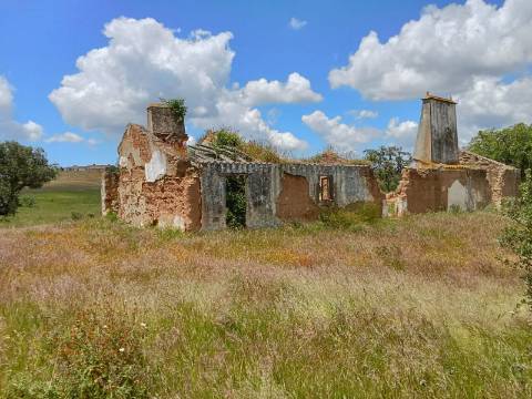 Propriedade 15 hectares -