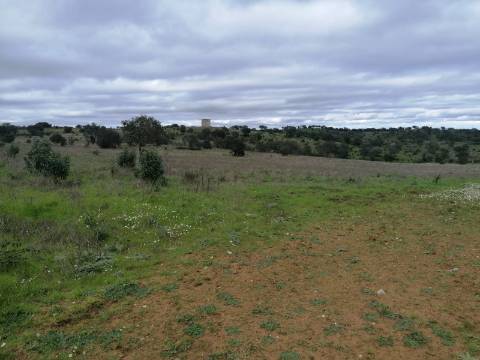 Propriedade 15 hectares -