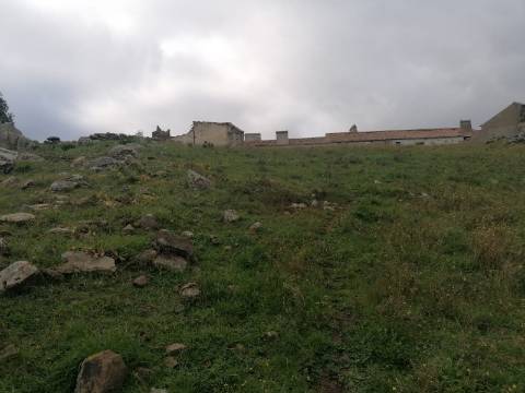 Propriedade 15 hectares -