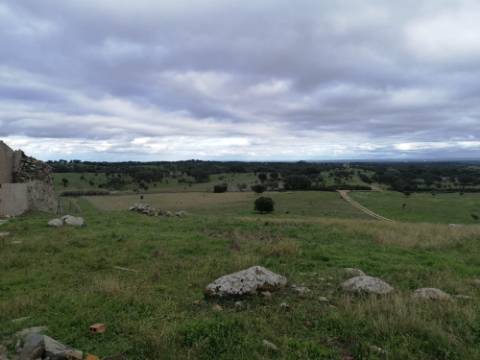 Propriedade 15 hectares -