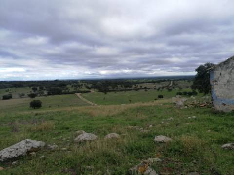 Propriedade 15 hectares -