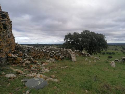 Propriedade 15 hectares -