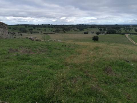 Propriedade 15 hectares -