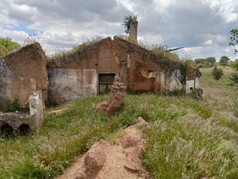 Propriedade 15 hectares -