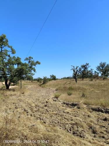 terreno rústico - montado