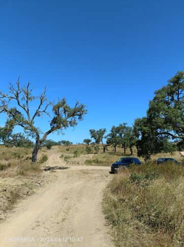 terreno rústico - montado