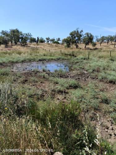 terreno rústico - montado