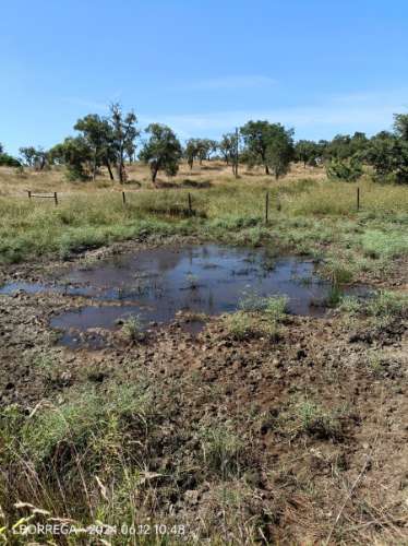 terreno rústico - montado