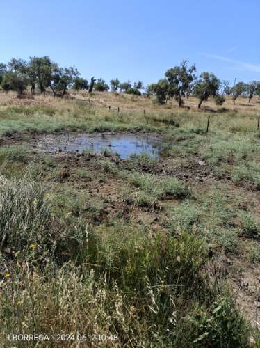 terreno rústico - montado