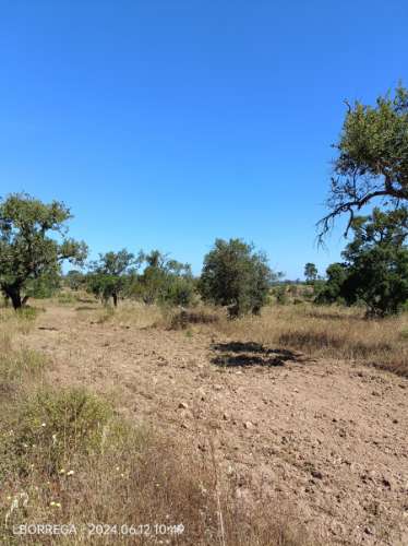 terreno rústico - montado
