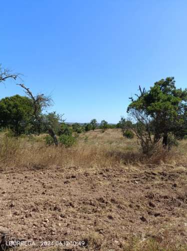 terreno rústico - montado