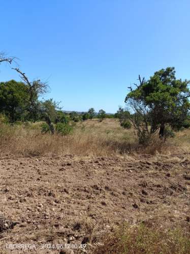 terreno rústico - montado