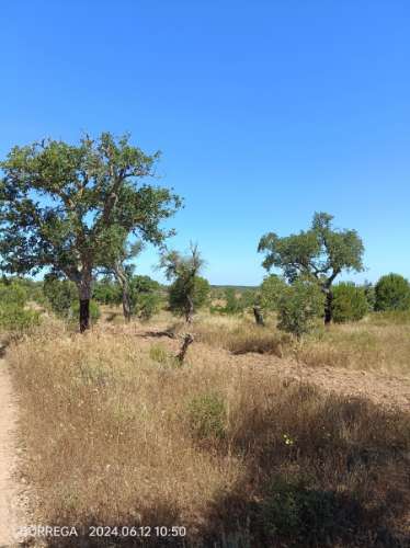 terreno rústico - montado