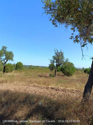 terreno rústico - montado