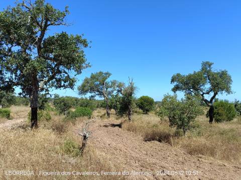 terreno rústico - montado