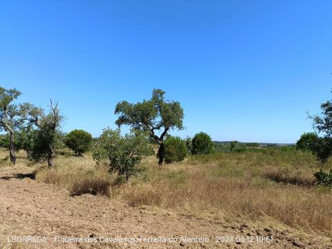 terreno rústico - montado