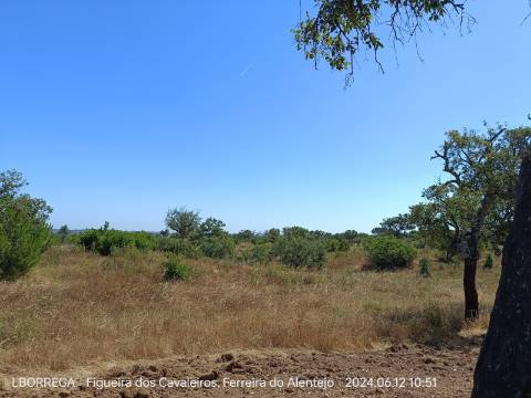 terreno rústico - montado