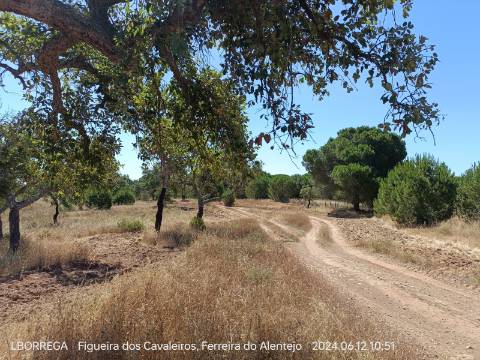 terreno rústico - montado