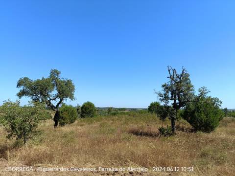 terreno rústico - montado