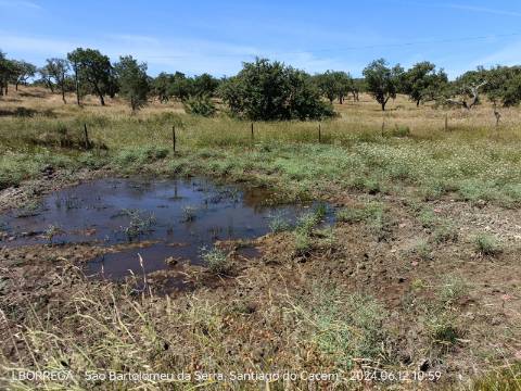 terreno rústico - montado