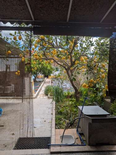 Moradia Alentejana - venda /permuta com construtor /investidor