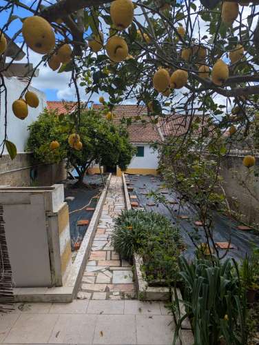 Moradia Alentejana - venda /permuta com construtor /investidor