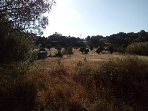 Terreno Rústico ( 2 ha )