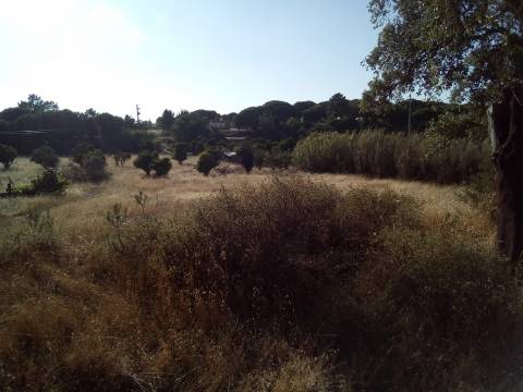 Terreno Rústico ( 2 ha )