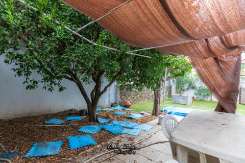 Moradia Alentejana (da Avó)