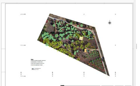 # Quinta nas Sobreiras Altas Oferta Imperdível - um sonho a ser realizado .