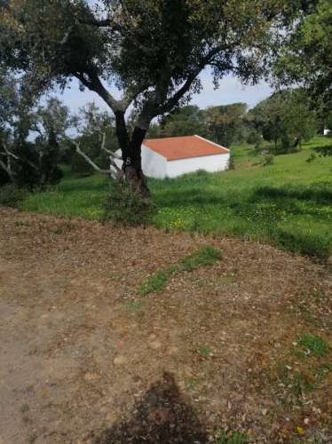 # Quinta nas Sobreiras Altas Oferta Imperdível - um sonho a ser realizado .