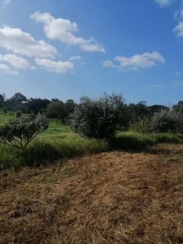 # Quinta nas Sobreiras Altas Oferta Imperdível - um sonho a ser realizado .