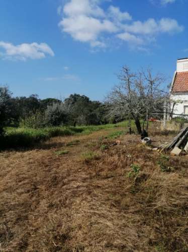 # Quinta nas Sobreiras Altas Oferta Imperdível - um sonho a ser realizado .