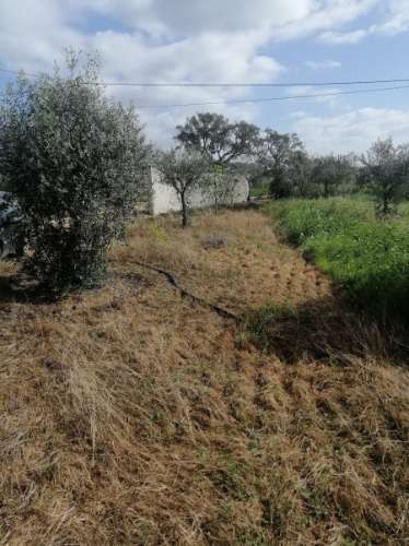 # Quinta nas Sobreiras Altas Oferta Imperdível - um sonho a ser realizado .